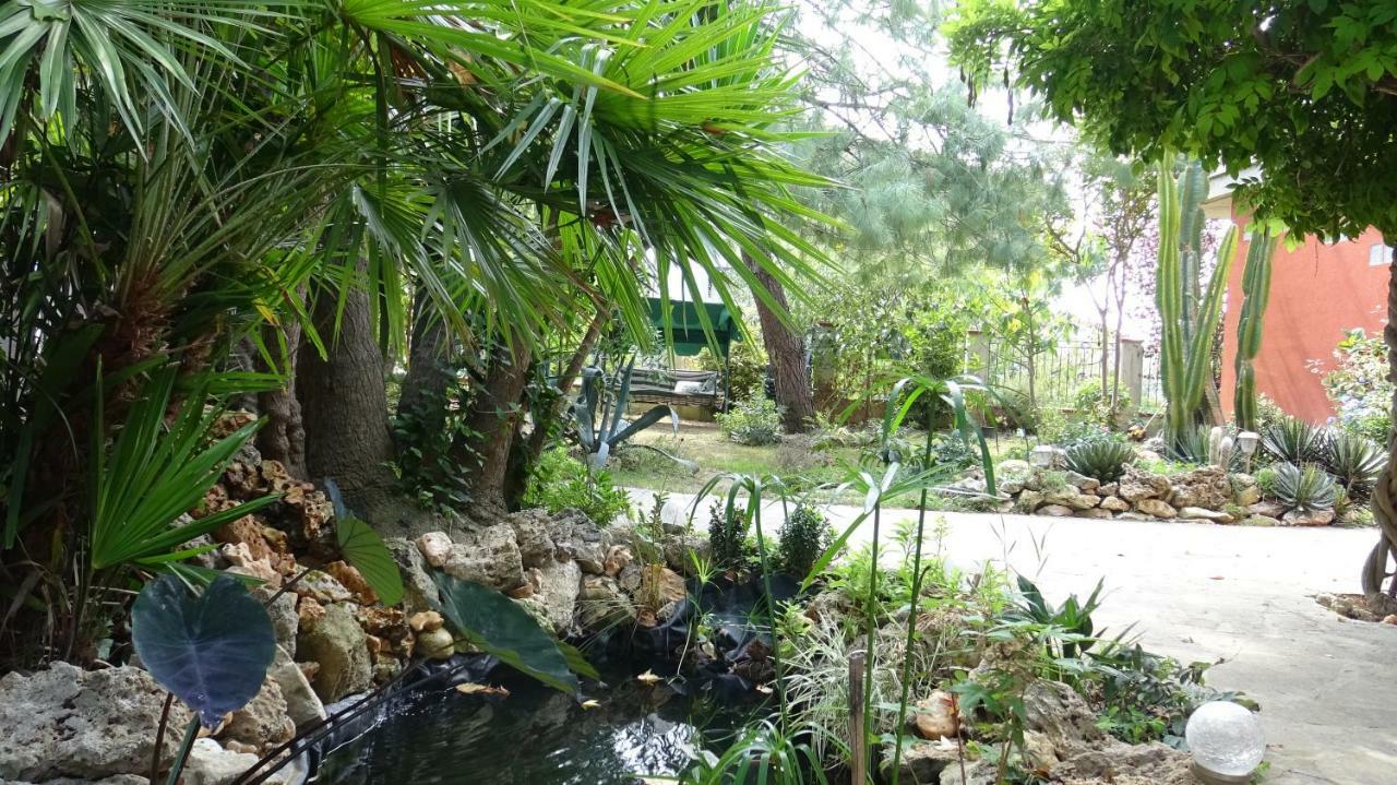 Bed and Breakfast Garden FuoriRotta San Giovanni Teatino Esterno foto
